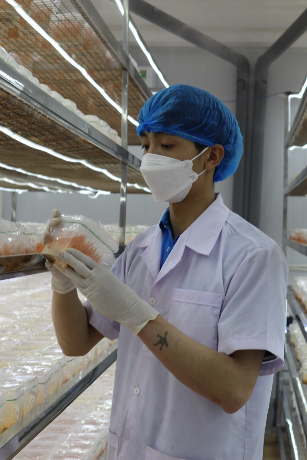 TÂM PHÚC LÂM ĐỒNG - NHÀ SẢN XUẤT HÀNG ĐẦU